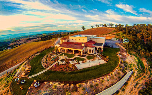 Daou Winery